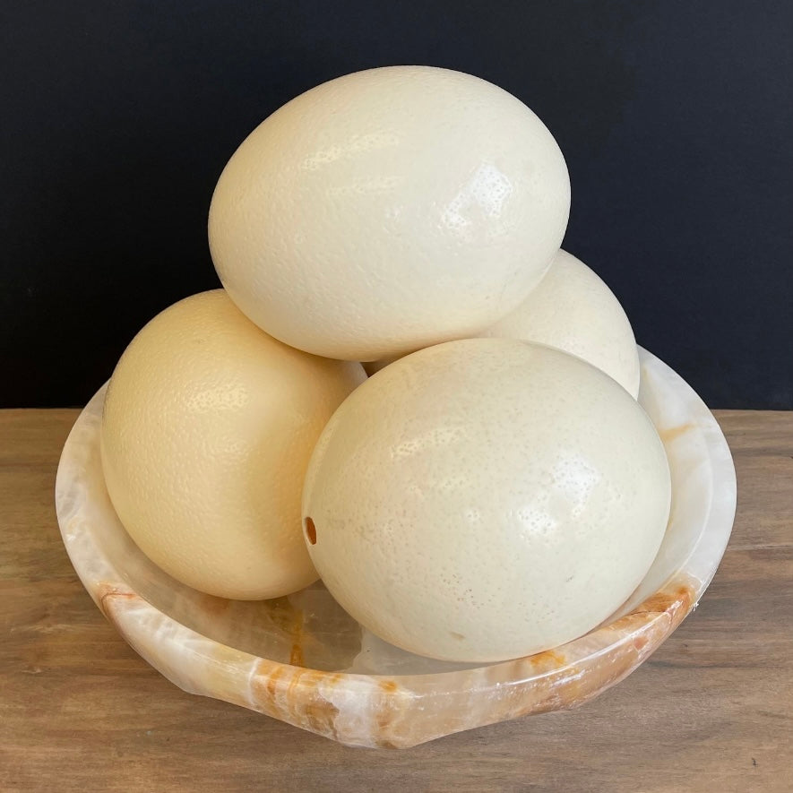 ostrich egg boiled