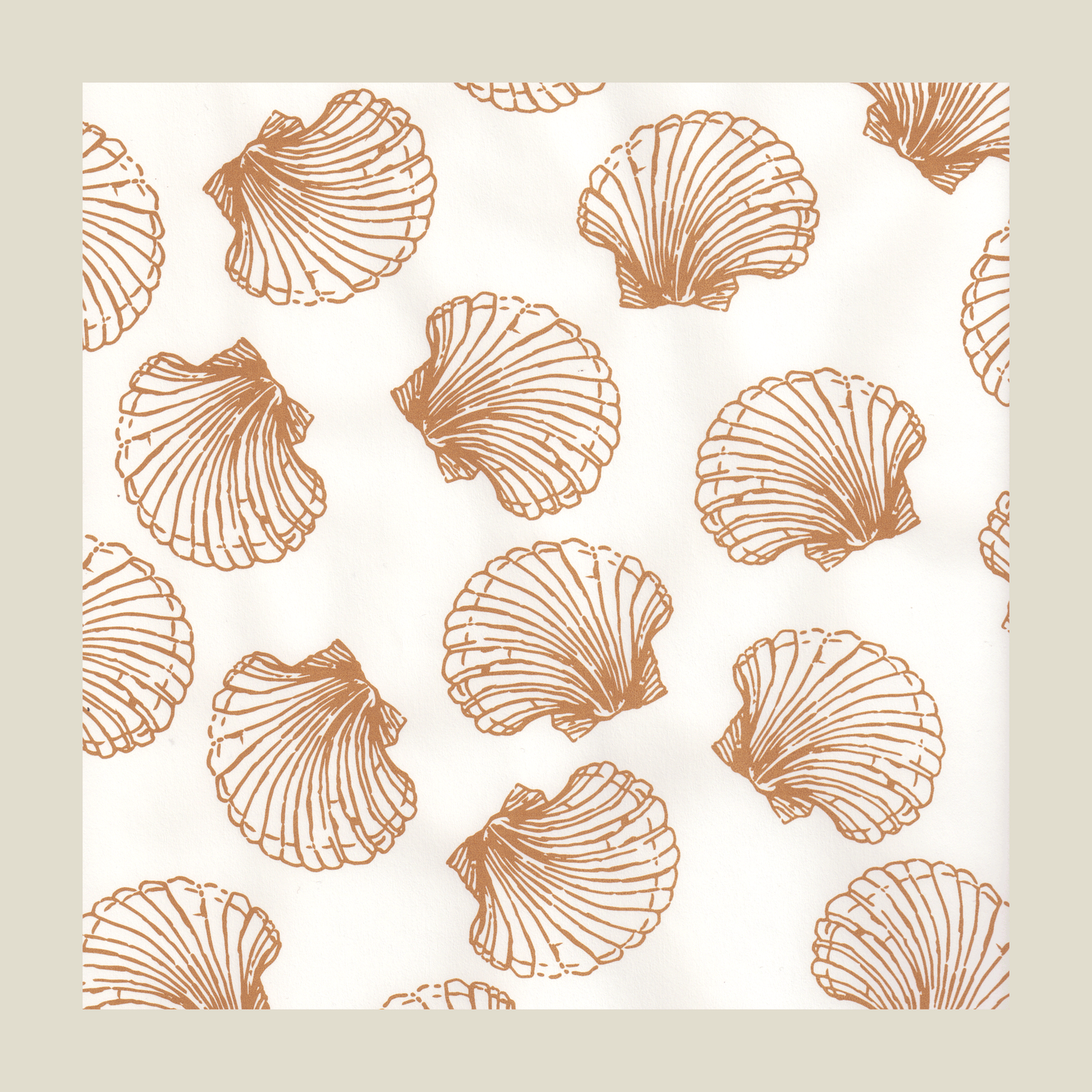 Scallop on Ivory Gift Wrap