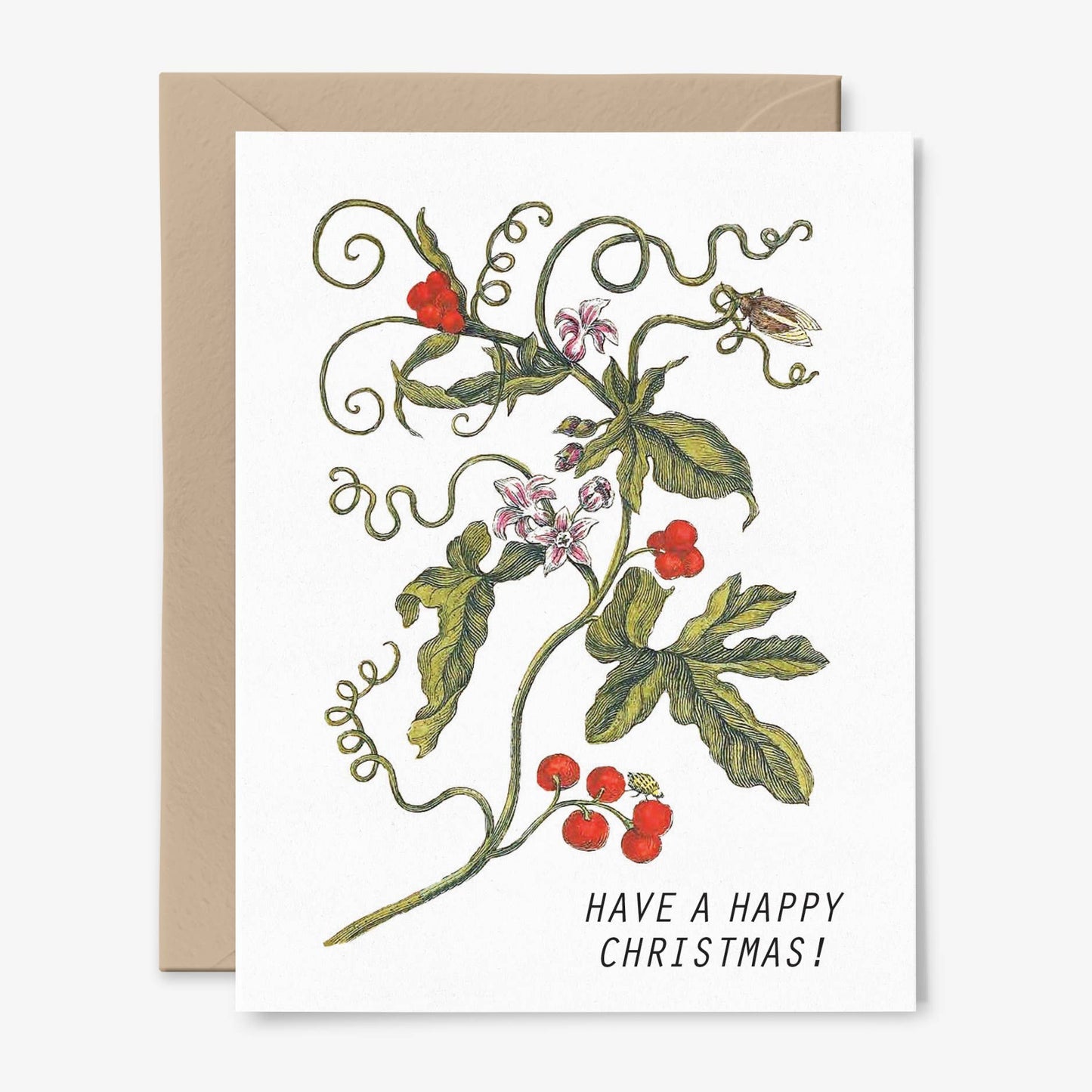 Have a Happy Christmas Card